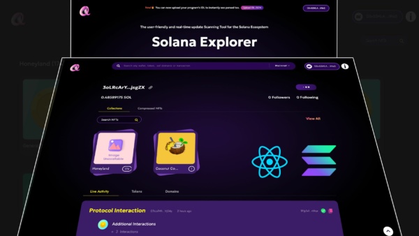 Solana Blockchain Explorer Projesi (Kaynak Kodlu)