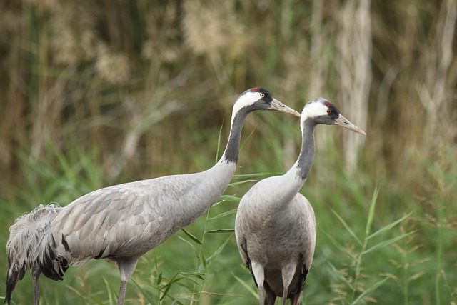 Uniswap Token Swap Mekanizması Nasıl Çalışır?